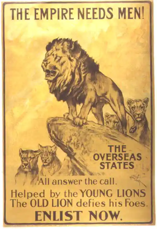 Lion and young lions